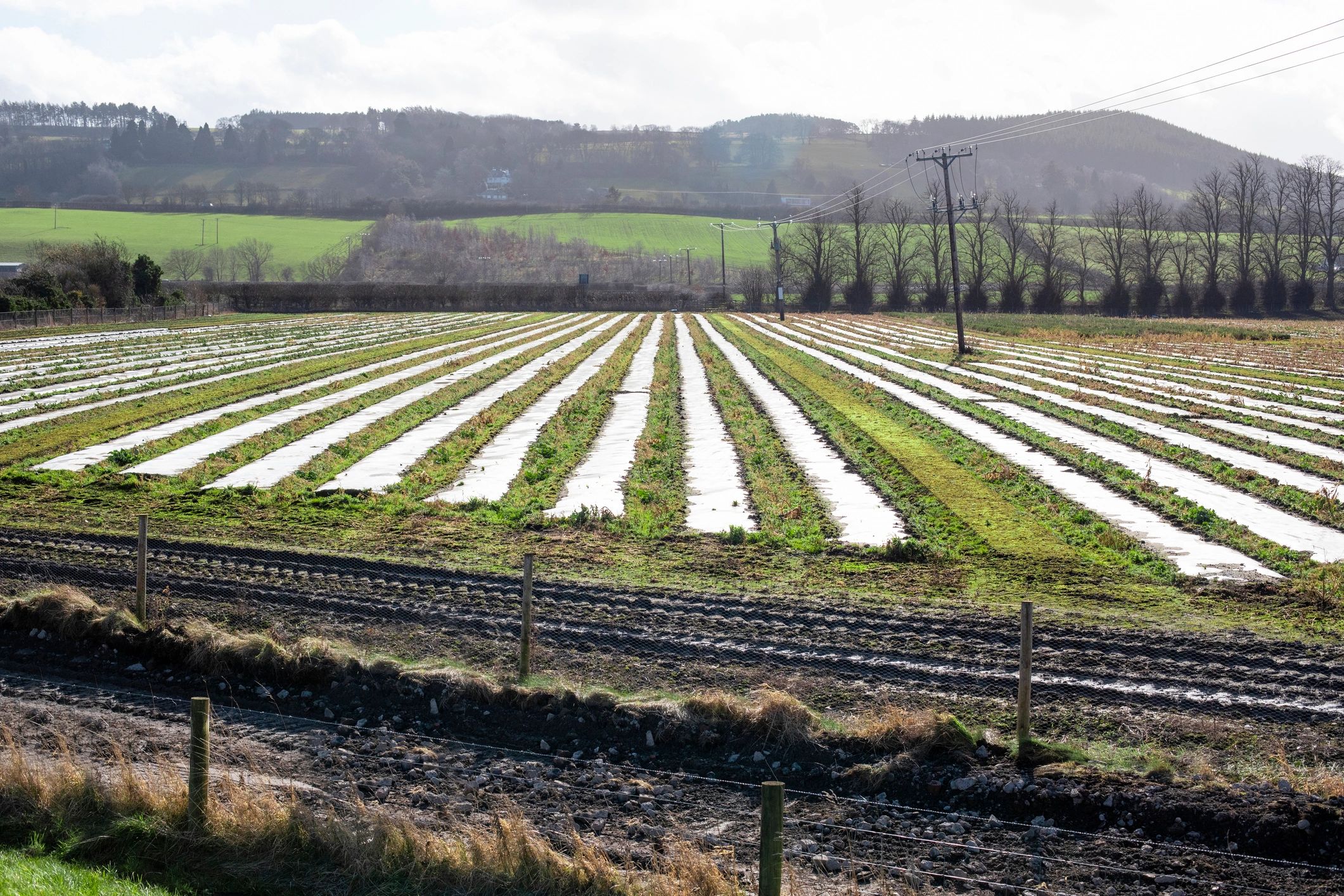 Cultivated farm field under open sky