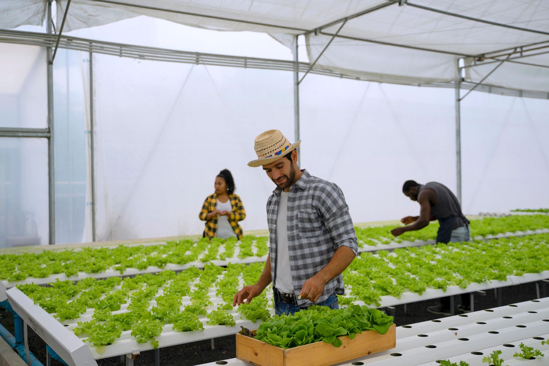 Farm worker in greenhouse representing the team behind production
